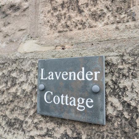 Lavender Cottage Alnwick Exteriör bild